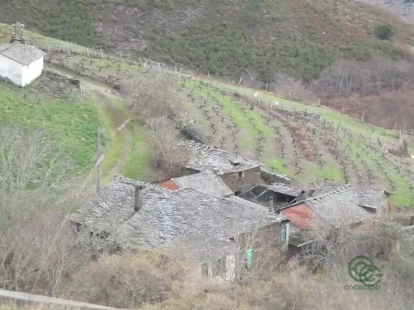 Finca agrícola de 2,66 ha en venta en Grandas de salime, Asturias