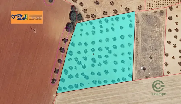 Spot image