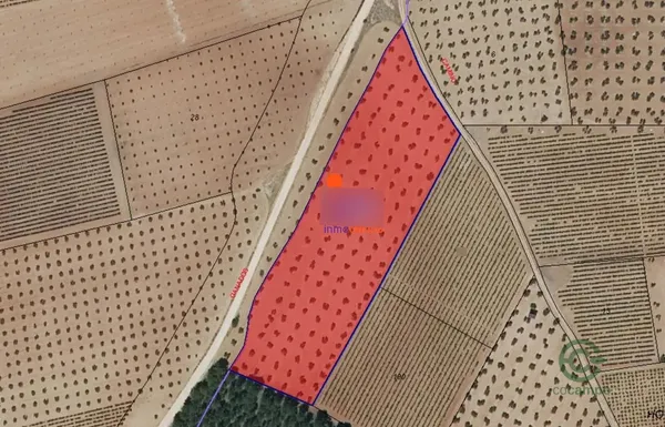 Spot image