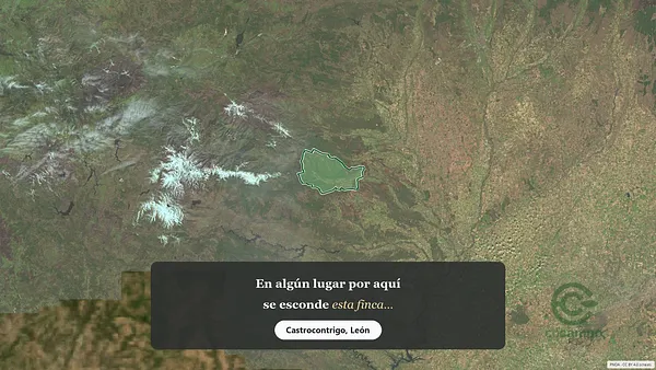 Spot image