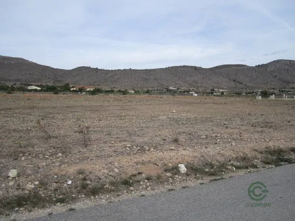 Spot image