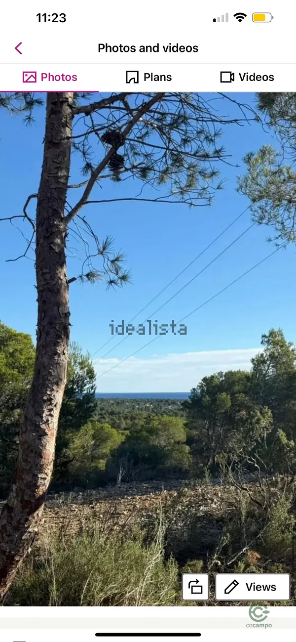 Spot image
