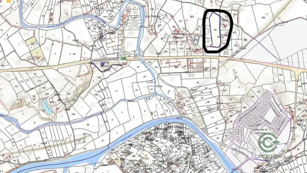 Spot image