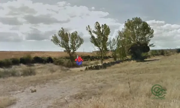 Spot image