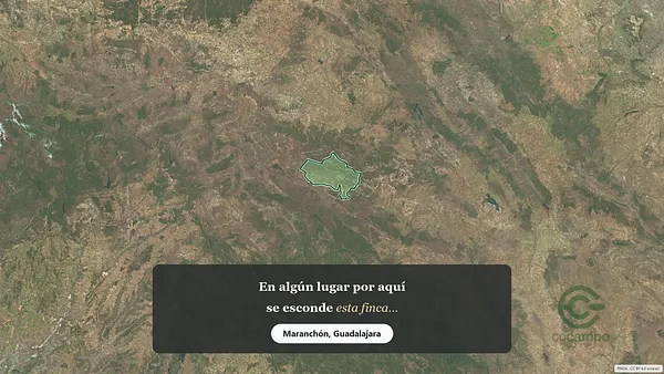 Spot image