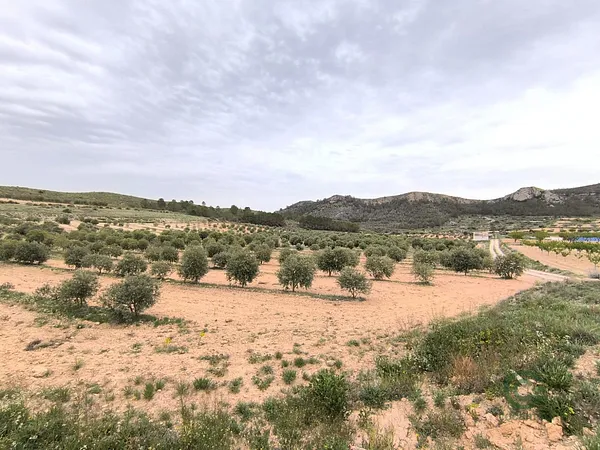 Spot image