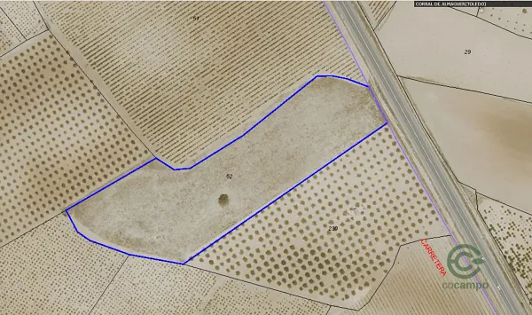 Spot image