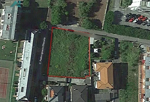 Spot image