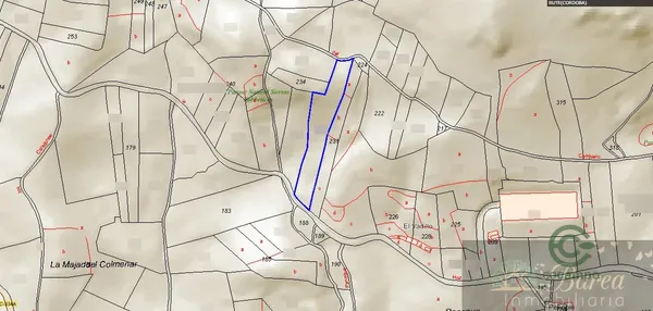 Spot image