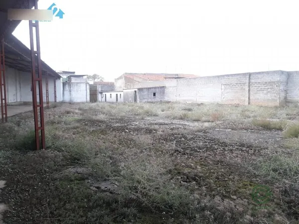 Spot image