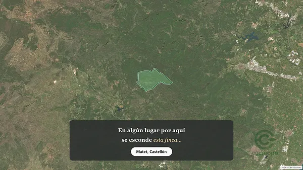 Spot image