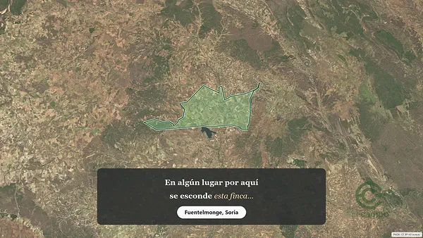 Spot image