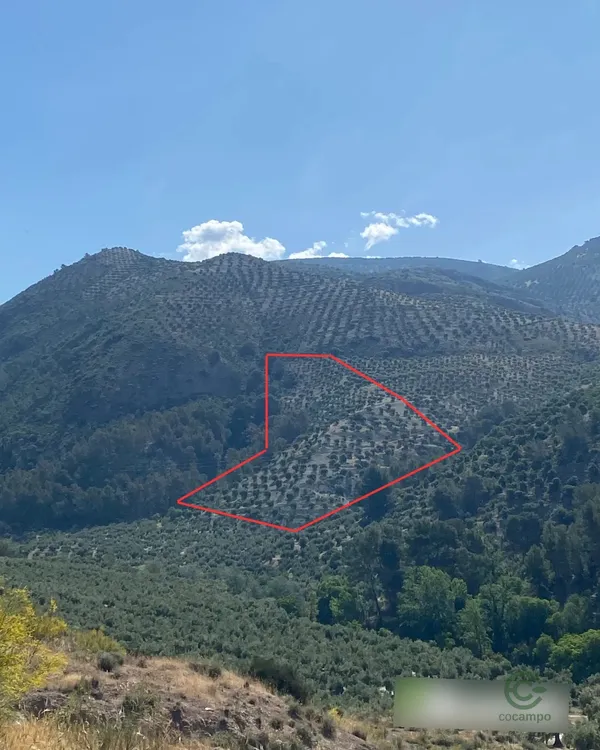 Spot image