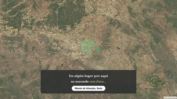 Spot image