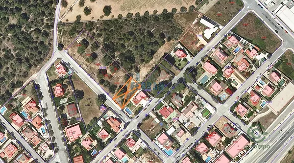 Spot image