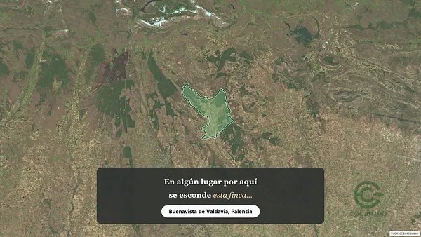 Spot image