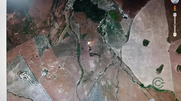Spot image