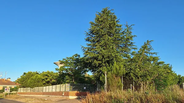 Finca rústica de 0,67 ha en venta en Laguna de duero, Valladolid