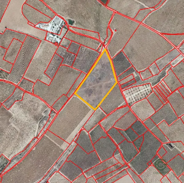 Spot image