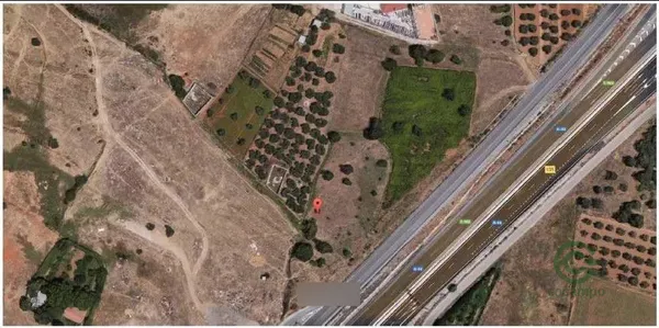 Spot image