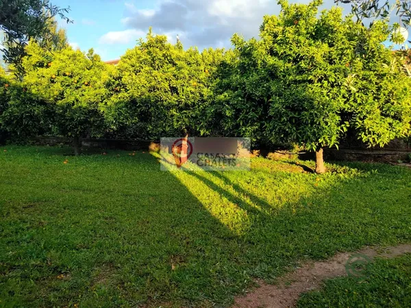 Finca agrícola de 0,17 ha en venta en Córdoba, Córdoba