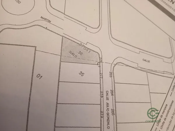 Spot image