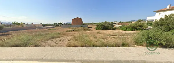 Spot image
