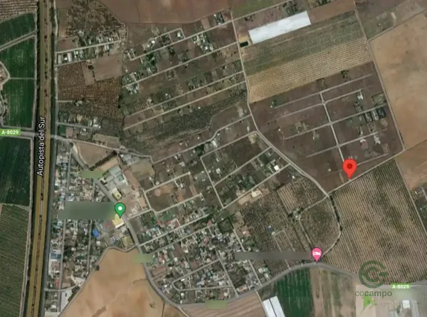 Spot image