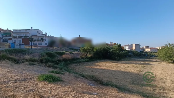 Spot image