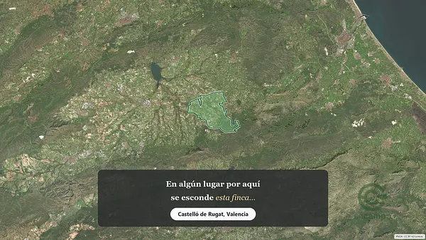 Spot image