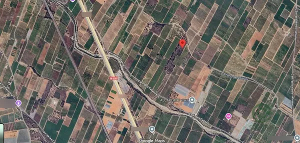 Spot image