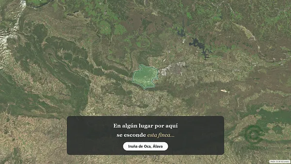 Spot image