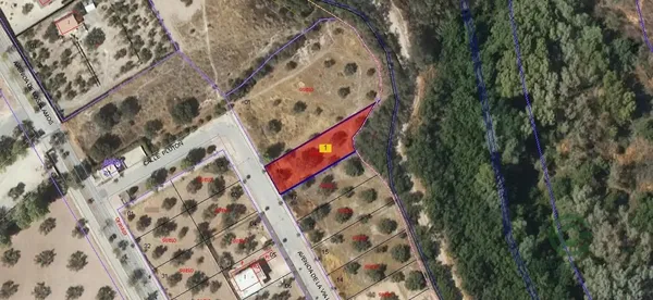 Spot image