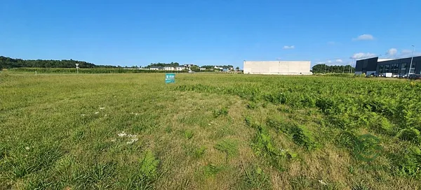 Spot image