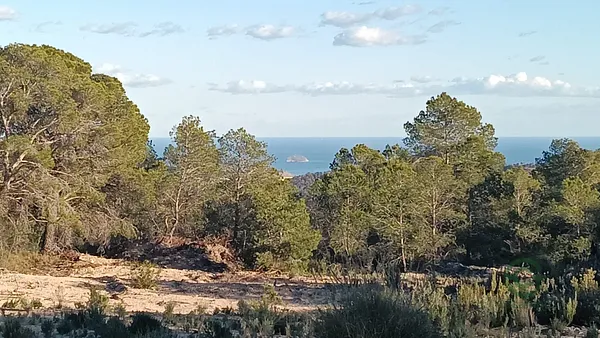 Finca rústica de 2,36 ha en venta en Alicante