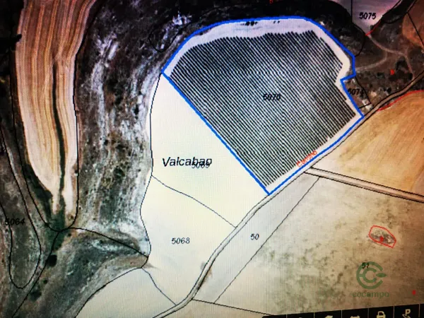 Spot image