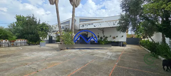 Spot image