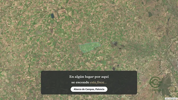 Spot image