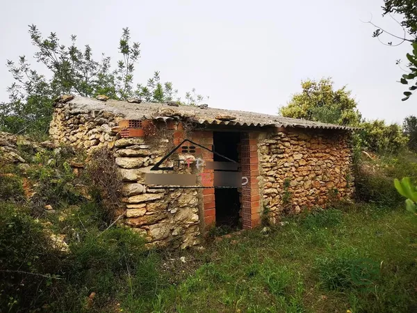 Spot image