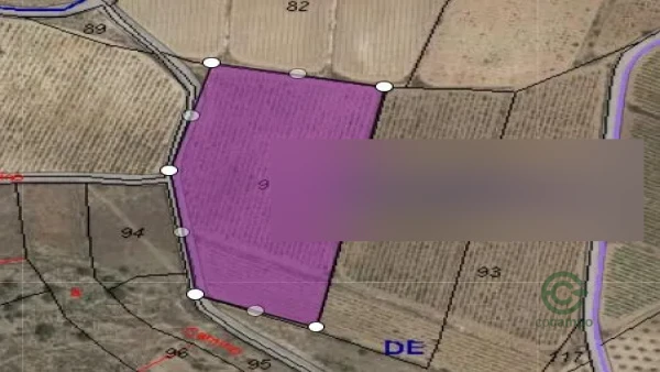 Spot image