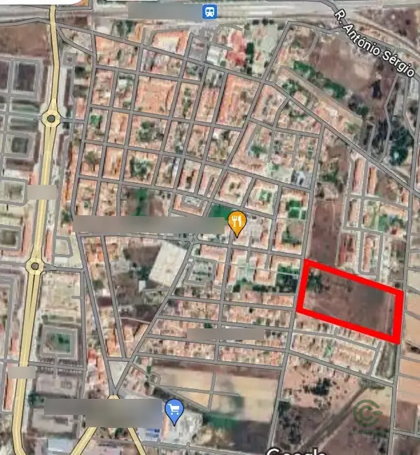 Spot image