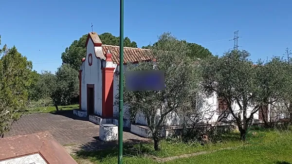 Spot image