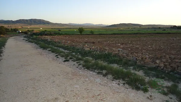 Spot image