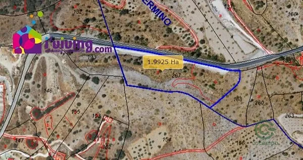 Spot image