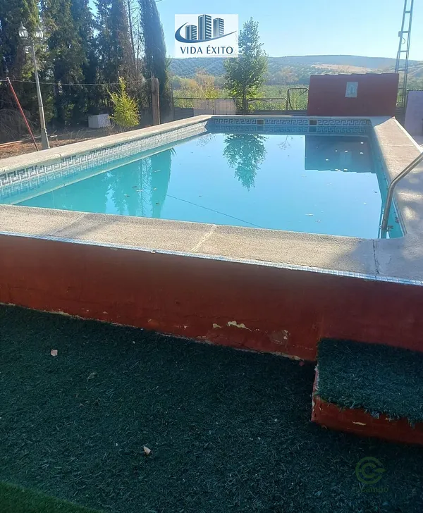 Spot image