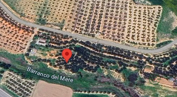 Spot image