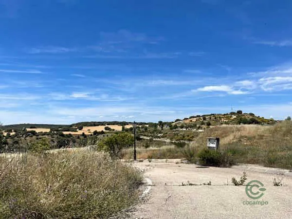 Spot image