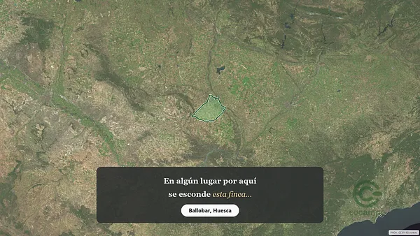 Spot image
