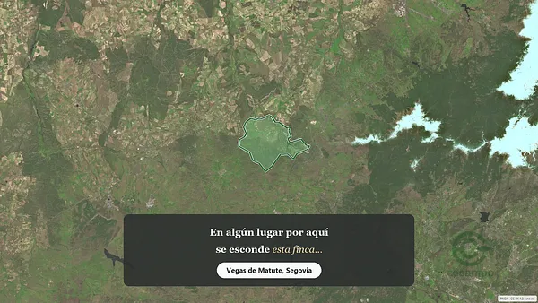 Spot image