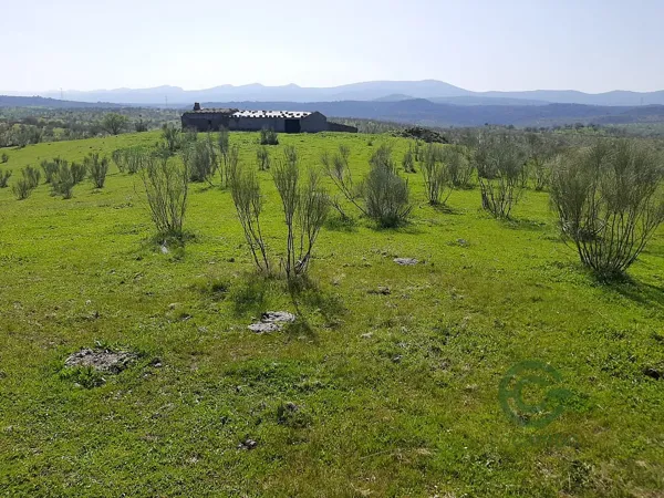 Finca rústica de 115 ha en venta en Cáceres